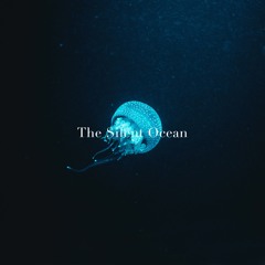 The Silent Ocean - Silent Waters