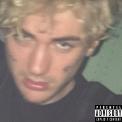 Lil Panda X - NGL (slowed + reverbed)