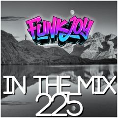 funkjoy - In The Mix 225