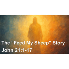 The Feed My Sheep Story