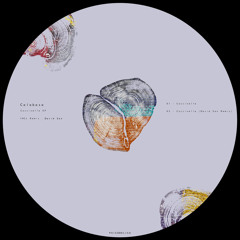 Coccinelle (David San Remix)