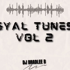 GYAL TUNES VOL 2 ♨️🔥 | DJ BRADLEE B  MOODD MIXXX.mp3