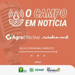 O Campo em Notícia