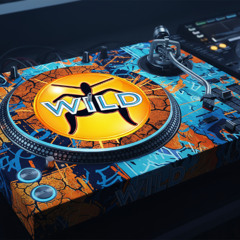 Tha Wildstyle (DJZee Wild Mix)