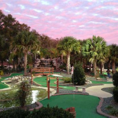 Best Things To Do In Lady Lake Florida Tours Reviews