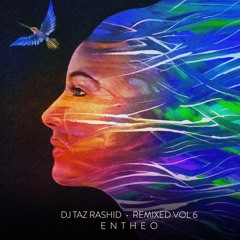 DJ Taz Rashid - Wide Open (Entheo Remix)