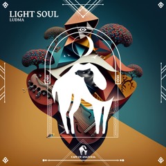 Ludma - Mystic (Cafe De Anatolia)