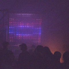 Main Panel - Amalia in Wonderland - Pearl Gourami B2B Kohese