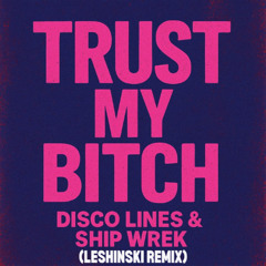 I Don't Trust A Soul - Disco Lines, Ship Wrek (LESHINSKI REMIX)