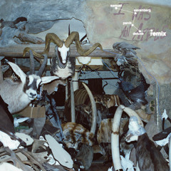 I was an apple and I got peeled (Samuel Savenberg Remix)