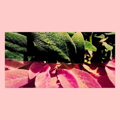 PREMIERE: Nistoroiu - Nothing To Lose