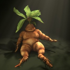 Mandrake [Beat]