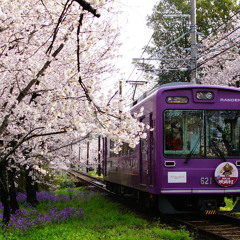 KYOTO BY TRAIN