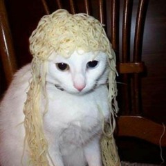 em măm sáng chưa?