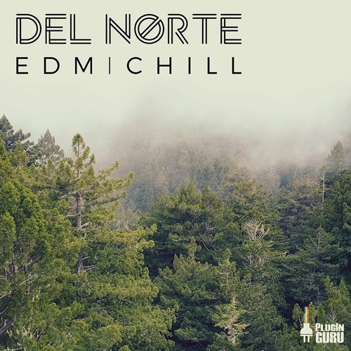Del Norte Neon Road Trip By Saif Sameer
