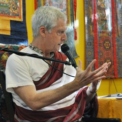 Алан Уоллес – Знакомство с учением дзогчен (2013)