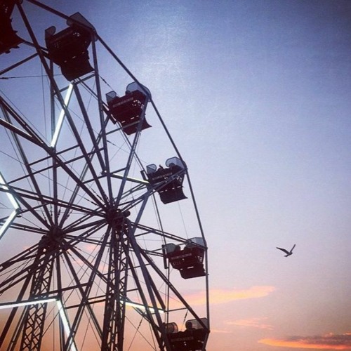 Stream Cornfunk Review Wachapreague Carnival by 103 The Shore