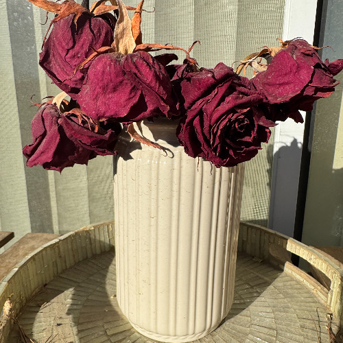 NOT MY WINGS (prod. Patchface x ayoley)