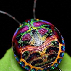 01.09.16 - Hed Kandi - Deep House FirstTrocken ;P .aif