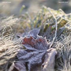 Winter Leaf