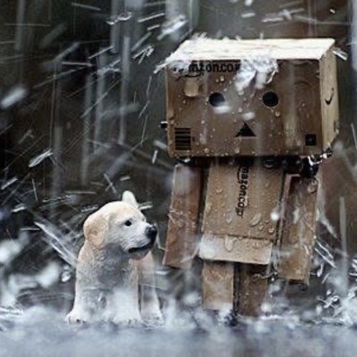 Copy of Xuân Cường'