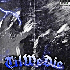 Fred Vandal - TilWeDie (Prod. SNAKE GOD)
