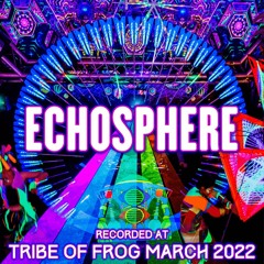 Echosphere - Recorded at TRiBE of FRoG Frogz in Space 2022 [Room 4]