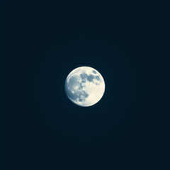 Silent Gravity