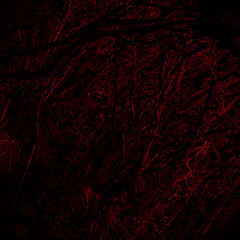 Occasion - Instrumental