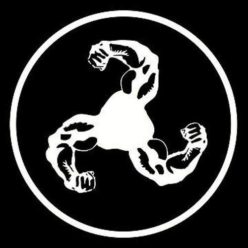 Bicep Mixes