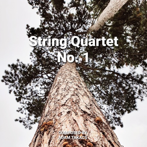 String Quartet No. 1