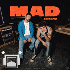 Martin Garrix & Lauv - MAD (KR1TT REMIX)