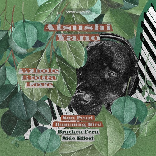Atsushi Yano / Whole Rotta Love EP Atsushi Yano / Whole Rotta Love EP