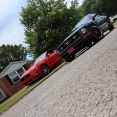 Nø Bull$hit ( Yung Trout X King Robol )