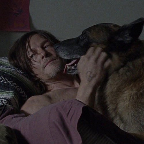 Daryl Dixon comfort 2.0