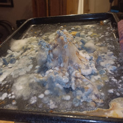cold turkey