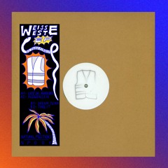 NP004 DJ Fucks Himself - Weisse Weste EP (Vinyl Snippets)