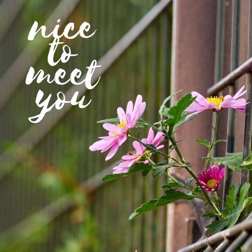 意味 too you to nice meet