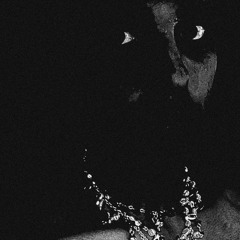 not important (prod. 2Lz)