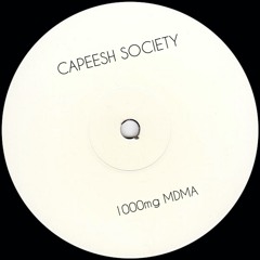 Premiere : Capeesh Society - I'm Coming Home [BANDCAMP]