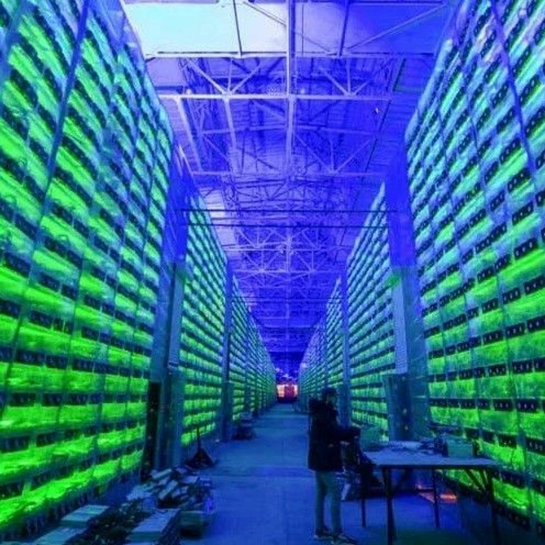 Stream 626 - Simian Slurp feat. Ben McKenzie (5/9/22) by Chapo Trap House |  Listen online for free on SoundCloud