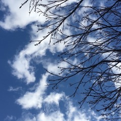 دندنة: زعلني