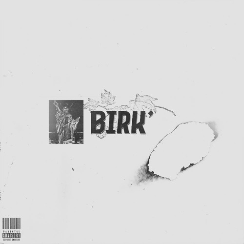 Birk'