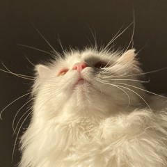 Everything Matters 🌷- Pomme et Aurora