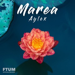 Aylex - Marea [FTUM Release] · LoFi & Meditative Background Music