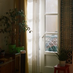 001 - chartreuse
