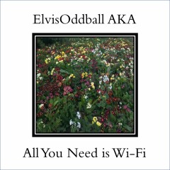All You Need is Wi-Fi