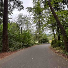 Feel Nothing ( Freestyle )