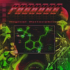 Raekogg - Digital Psilocybin Mix EP 2007