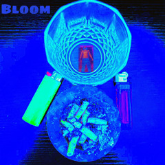 Bloom (prod. Robin Cause)